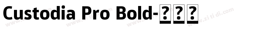 Custodia Pro Bold字体转换